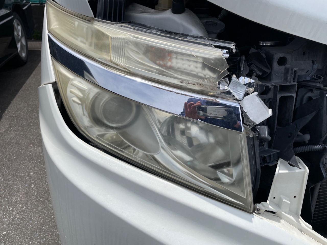 GAPRAS 日産 エルグランド - 商品詳細 - SP382448