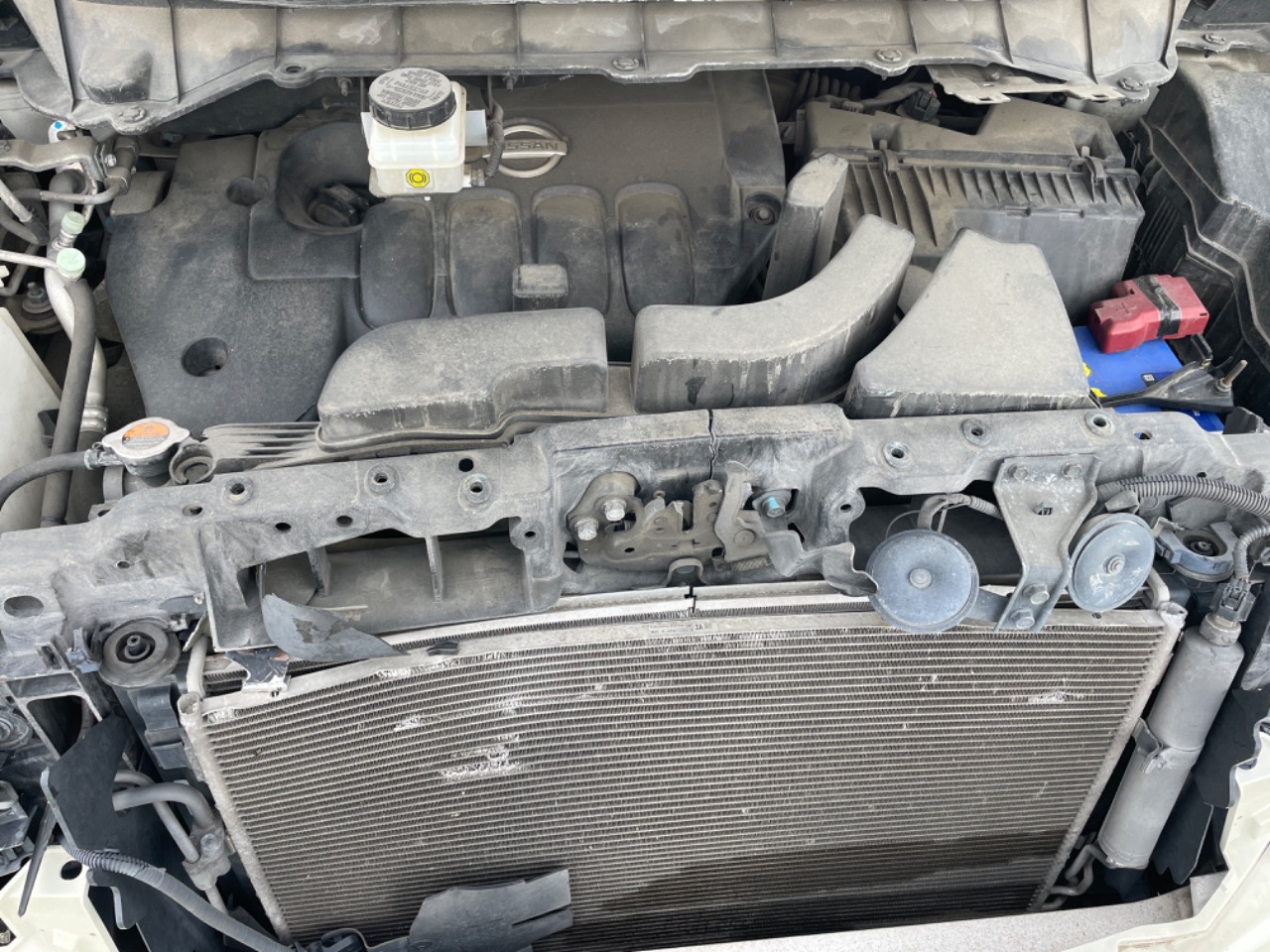 GAPRAS 日産 エルグランド - 商品詳細 - SP382448