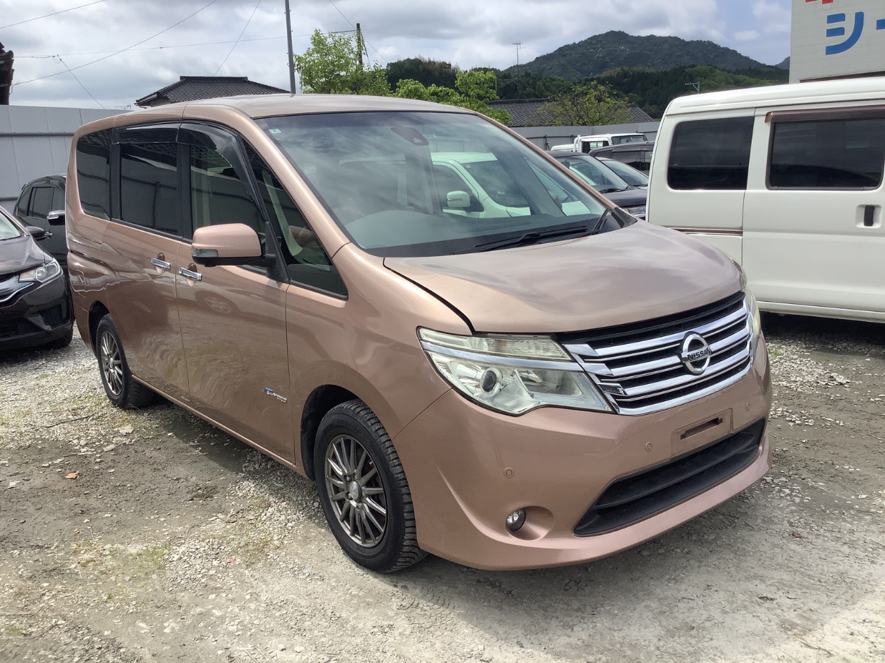 GAPRAS 日産 セレナ - 商品詳細 - SP382578
