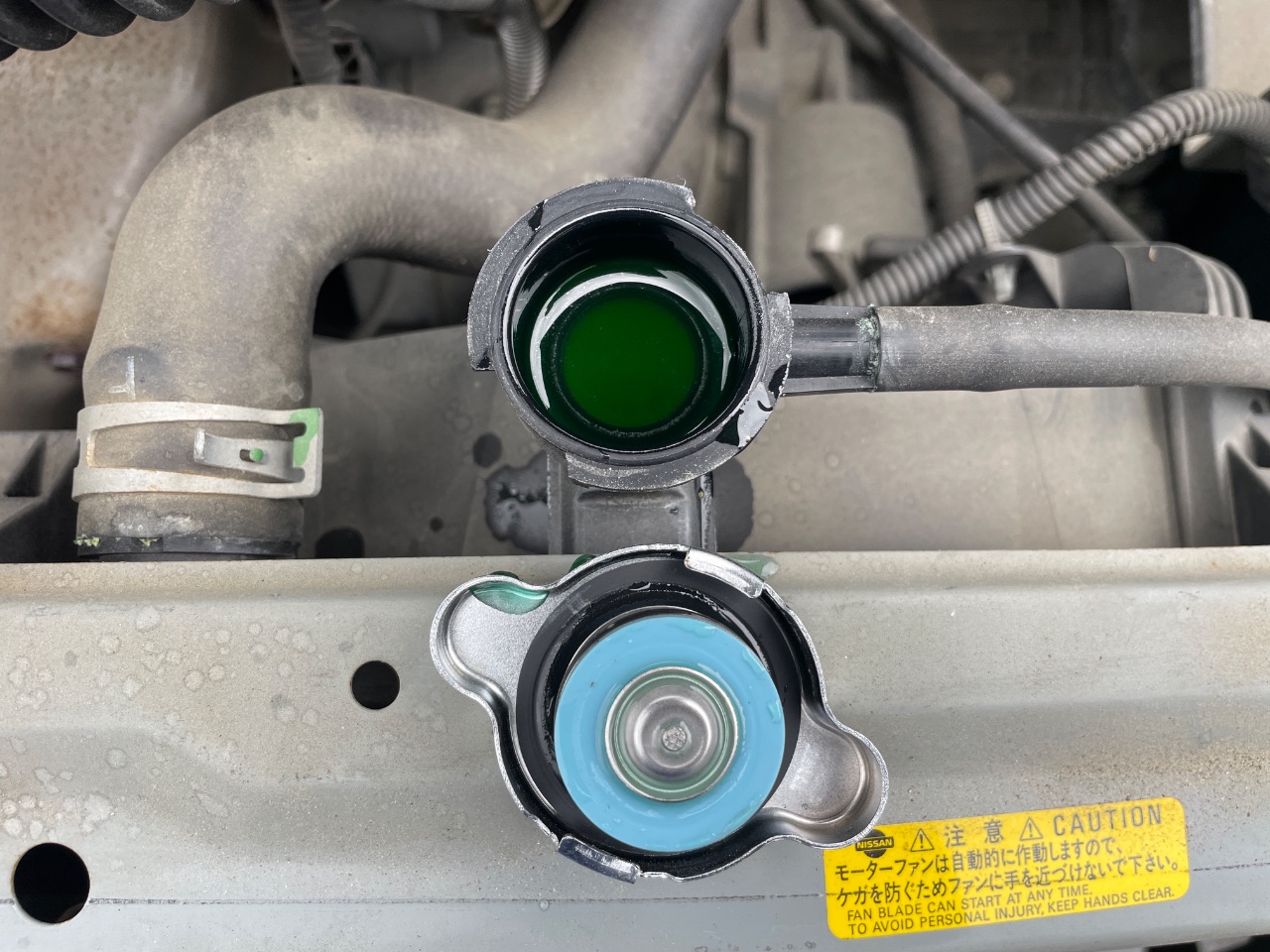 GAPRAS 日産 マーチ - 商品詳細 - SP383996