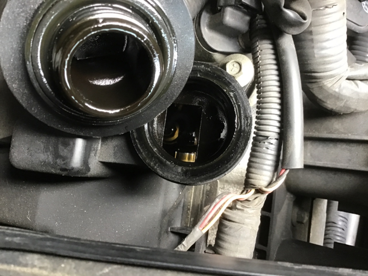 GAPRAS 日産 セレナ - 商品詳細 - SP385254