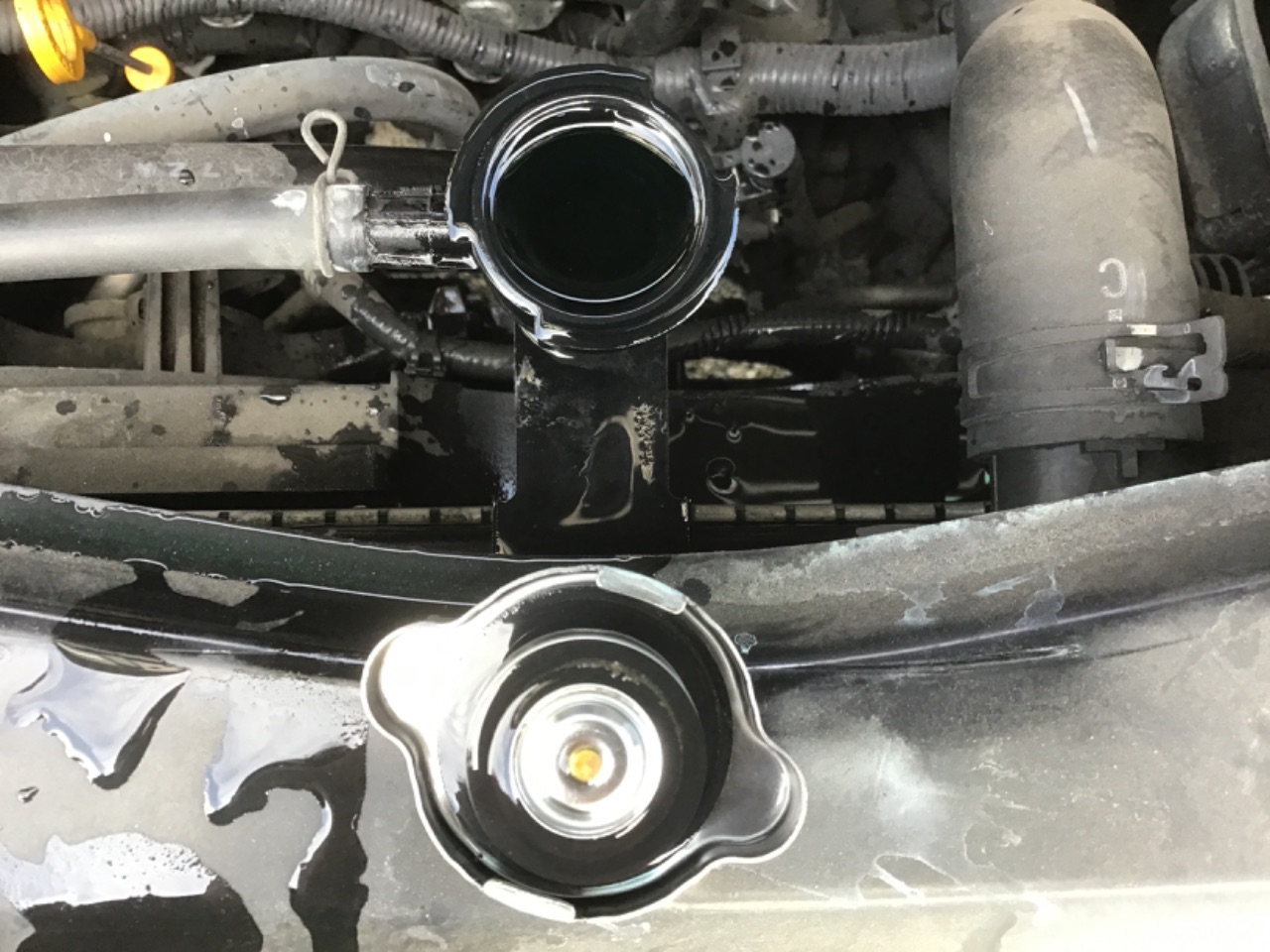 GAPRAS 日産 セレナ - 商品詳細 - SP385254
