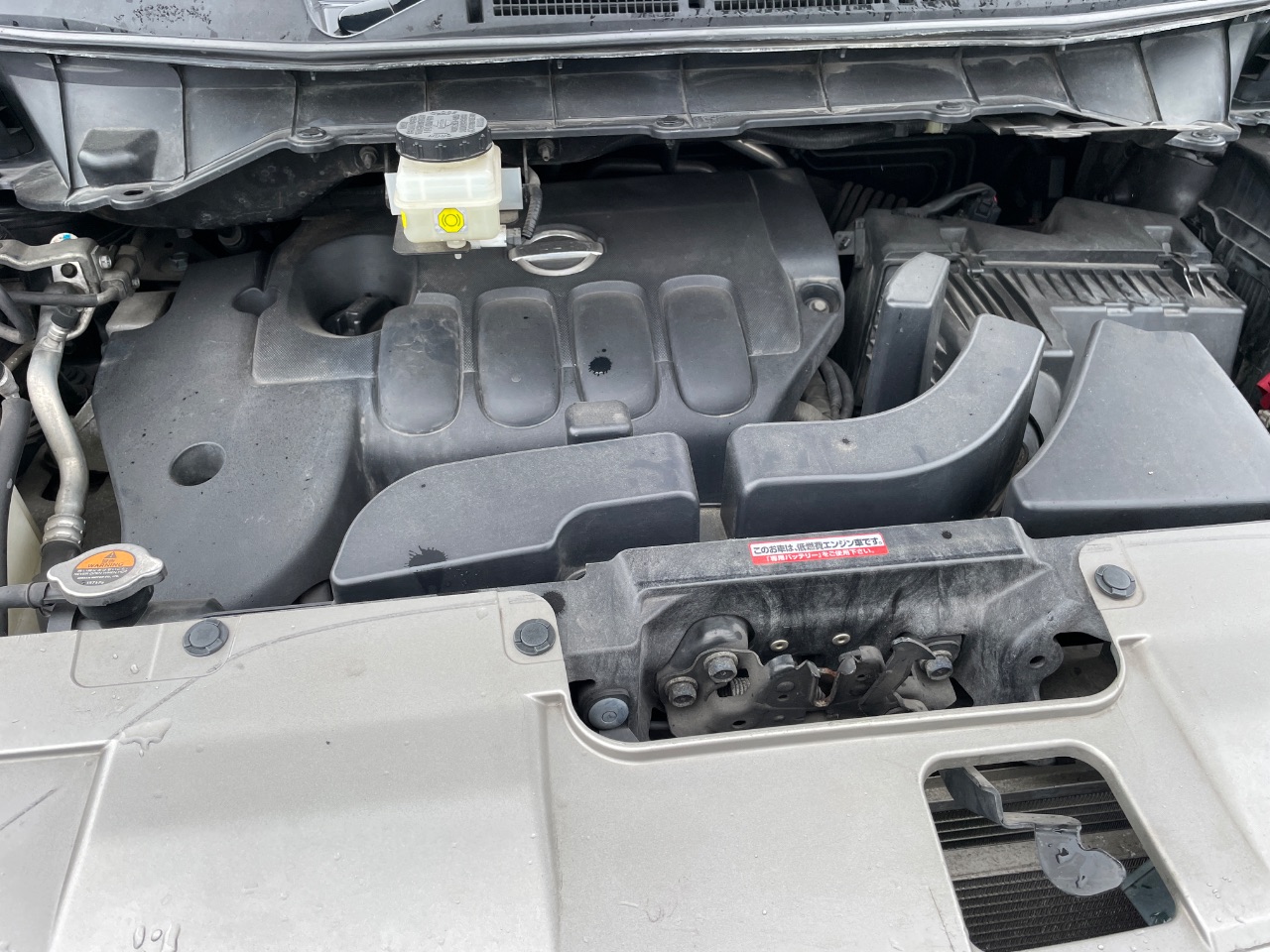 両方ステー傷　9、19枚レンズ割れ　日産 エルグランド GAPRAS 日産 エルグランド - 商品詳細 - SP385914