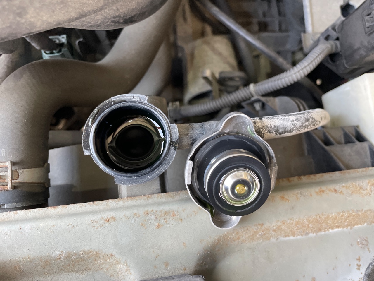 GAPRAS 日産 キューブ - 商品詳細 - SP387283