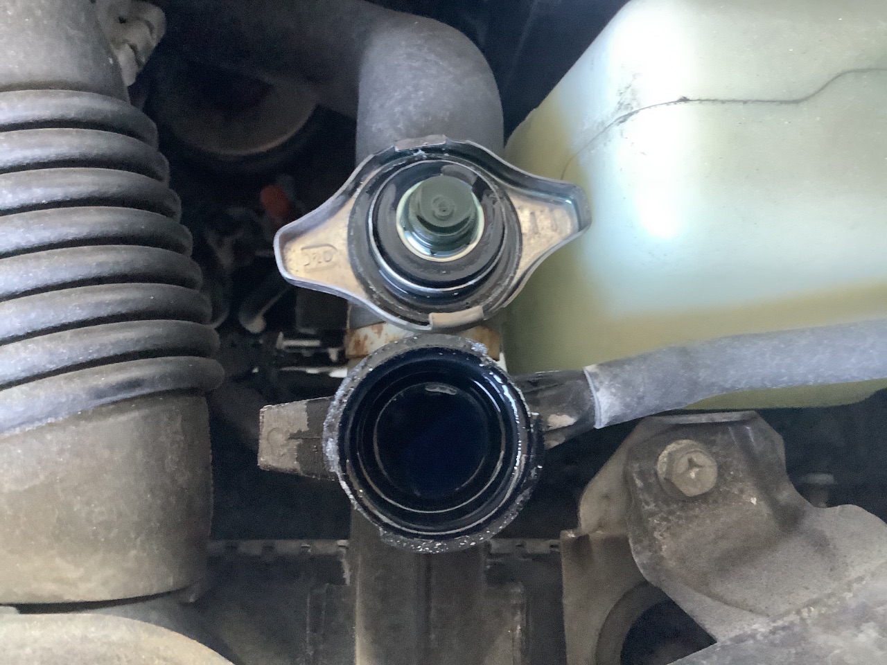 GAPRAS 日産 モコ - 商品詳細 - SP387354